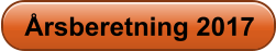 �rsberetning 2017