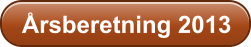 �rsberetning 2013